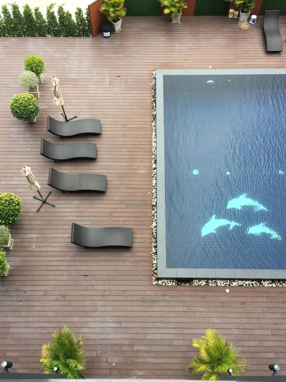 Top-down view of a swimming pool and surrounding pool deck